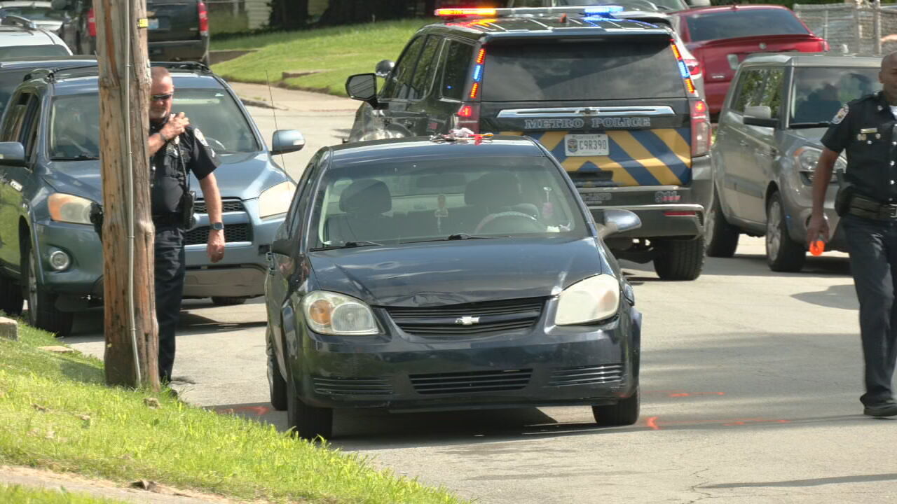 PARTHENIA PEDESTRIAN HIT